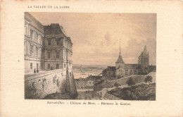 41-BLOIS LE CHÂTEAU-N°T5275-A/0145 - Blois