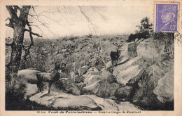 77-FONTAINEBLEAU LA FORET LES GORGES DE FRANCHARD-N°T5275-D/0357 - Fontainebleau