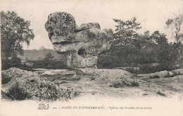 77-FONTAINEBLEAU LA FORET SPHINX DES DRUIDES-N°T5275-C/0007 - Fontainebleau