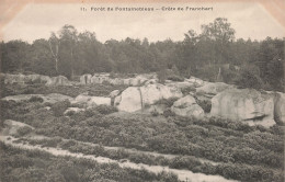 77-FONTAINEBLEAU LA FORET CRETE DE FRANCHART-N°T5275-G/0065 - Fontainebleau