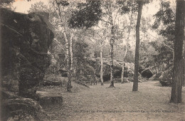 77-FONTAINEBLEAU LA FORET PLATEAU DE LA ROCHE EPONGE-N°T5275-G/0063 - Fontainebleau