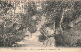 77-FONTAINEBLEAU LA FORET LES GORGES DE FRANCHARD-N°T5276-C/0331 - Fontainebleau