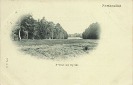 78-RAMBOUILLET AVENUE DES CYPRES-N°T5276-G/0219 - Rambouillet (Château)