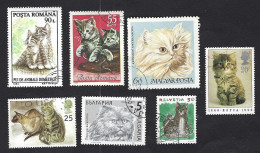 Lot Of 7 Stamps With Cats, Different Countries; Used - Katten