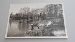 BONNEVAL  VOUVRAY PASSERELLE SUR LE LOIR LAVANDIERE .AU TRAVAIL - Bonneval