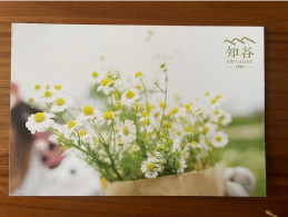 China Postal Card Postcard  Art Advertising Photographs Post Card Hotel Traval Plants Plant Flowers Flora Flower - Fleurs