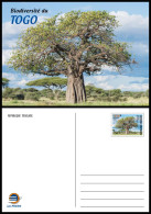 TOGO 2024 STATIONERY CARD - REGULAR - BAOBAB TREE TREES ARBRES ARBRE - BIODIVERSITY BIODIVERSITE - Trees