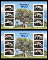 TOGO 2024 MS 6V IMPERF - REGULAR & OVERPRINT - MUSHROOMS MUSHROOM CHAMPIGNONS - BIODIVERSITY BIODIVERSITE - MNH - Funghi