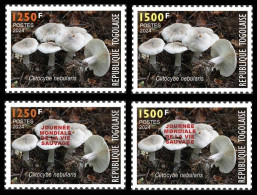 TOGO 2024 SET 4V - REGULAR & OVERPRINT - MUSHROOMS MUSHROOM CHAMPIGNONS - BIODIVERSITY BIODIVERSITE - MNH - Paddestoelen