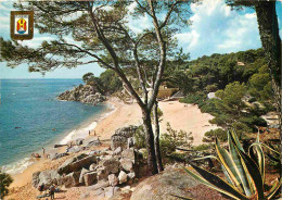 Espagne - Espana - Cataluna - Costa Brava - Playa De Aro - Plage - CPM - Voir Scans Recto-Verso - Gerona