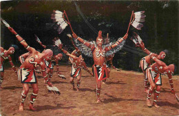 Indiens - Cherokee Indian Eagle Danse - Danse Indienne - Cherokee Indian Reservation - North Carolina - CPM Format CPA - - Native Americans