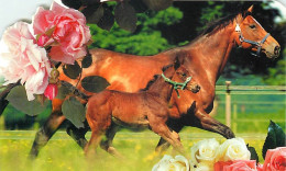 Format Spécial - 168 X 116 Mms - Animaux - Chevaux - Pouliche Et Son Poulain - Fleurs - Découpe Originale - Carte Neuve  - Horses