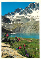 05 - Hautes Alpes - Lac Sainte Anne - Fleurs - CPM - Voir Scans Recto-Verso - Autres & Non Classés