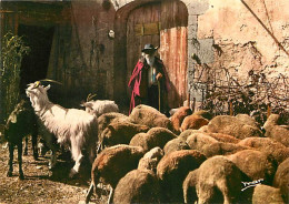 Animaux - Moutons - Vieux Berger - CPM - Voir Scans Recto-Verso - Altri & Non Classificati