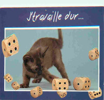 Animaux - Chats - Chatons - Carte Humoristique - CPM - Voir Scans Recto-Verso - Katten