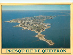 56 - Presqu'Ile De Quiberon - CPM - Voir Scans Recto-Verso - Quiberon