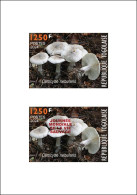 TOGO 2024 DELUXE PROOF - REGULAR & OVERPRINT - MUSHROOMS MUSHROOM CHAMPIGNONS - BIODIVERSITY BIODIVERSITE - Pilze