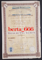 Portugal Industry Share * Sociedade Algodoeira De Fomento Colonial * Porto * Título De 1 Acção * 1951 * Shareholding - Industry