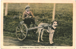 CPA Carte Postale Canada Québec Attelage De Chien  VM80627ok - Otros & Sin Clasificación