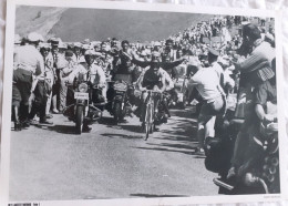 CYCLISME  -  FOTO HET LAATSTE NIEUWS  -  EDDY MERCKX  -  35 X 25  - - Ciclismo