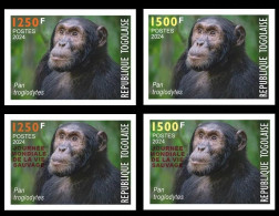 TOGO 2024 SET 4V IMPERF - REGULAR & OVERPRINT - CHIMPANZEE MONKEY MONKEYS APES - BIODIVERSITY BIODIVERSITE - MNH - Chimpansees