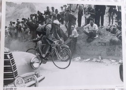CYCLISME  -  FOTO HET LAATSTE NIEUWS  -  FAUSTO COPPI  -  35 X 25  - - Radsport
