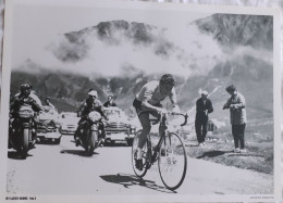 CYCLISME  -  FOTO HET LAATSTE NIEUWS  -  JACQUES ANQUETIL  -  35 X 25  - - Ciclismo