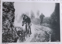 CYCLISME  -  FOTO HET LAATSTE NIEUWS  -  LUCIEN BUYSSE  -  35 X 25  - - Wielrennen