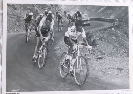 CYCLISME  -  FOTO HET LAATSTE NIEUWS  -  TOM SIMPSON  -  35 X 25  - - Radsport