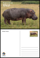 TOGO 2024 STATIONERY CARD - REGULAR & OVERPRINT - HIPPOPOTAMUS HIPPOPOTAME HIPPOPOTAMES - BIODIVERSITY BIODIVERSITE - Other & Unclassified