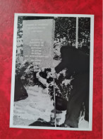 PHOTO LOT GERGOVIE 1940 LEVER DES COULEURS ETUDIANTS UNIVERSITE STRASBOURGEOIS MONUMENT AUX MORTS - Andere & Zonder Classificatie