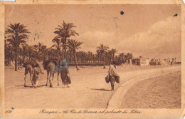 26930 " BENGASI-LA VIA DI DRIANA COL PALMETO DEI SABRI " ANIMATA-VERA FOTOCART.POST.  SPED.1925 - Libya