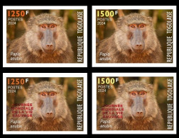 TOGO 2024 SET 4V IMPERF - REGULAR & OVERPRINT - MONKEY MONKEYS APES APE BABOON SINGES - BIODIVERSITY BIODIVERSITE - MNH - Apen