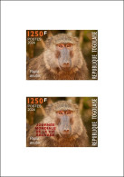 TOGO 2024 DELUXE PROOF - REGULAR & OVERPRINT - MONKEY MONKEYS APES APE BABOON SINGES - BIODIVERSITY BIODIVERSITE - Apen