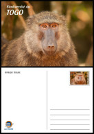 TOGO 2024 STATIONERY CARD - REGULAR - MONKEY MONKEYS APES APE BABOON SINGES - BIODIVERSITY BIODIVERSITE - Apen