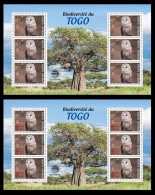 TOGO 2024 MS 6V - REGULAR & OVERPRINT - OWLS OWL HIBOU HIBOUX BIRDS OISEAUX - BIODIVERSITY BIODIVERSITE - MNH - Eulenvögel