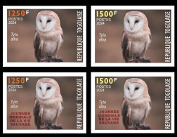 TOGO 2024 SET 4V IMPERF - REGULAR & OVERPRINT - OWLS OWL HIBOU HIBOUX BIRDS OISEAUX - BIODIVERSITY BIODIVERSITE - MNH - Owls