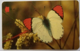 Oman 5 Omani Riyal GPT 34OMNY - Scarlet Red Tip ( Butterfly ) - Oman