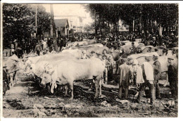 40 - Peyrehorade Le Marche Aux Bestiaux - Cartes Postales Ancienne - Peyrehorade