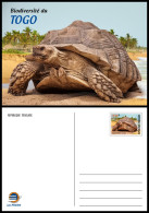 TOGO 2024 STATIONERY CARD - REGULAR - TURTLE TURTLES TORTUES TORTUE REPTILES - BIODIVERSITY BIODIVERSITE - Tortugas