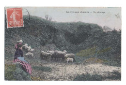 La Vie Aux Champs - CPA Voyagée En 1910 - Au Pâturage - Bergère Et Ses Moutons - Colorisée - Animée - Viehzucht