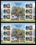 TOGO 2024 MS 6V MX IMPERF - REG & OVPT - MUSHROOMS OWL FROG FROGS TURTLE TURTLES HIPPOPOTAMUS BAOBAB MONKEY MONKEYS MNH - Schildpadden