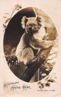 CPA AUSTRALIE / AUSTRALIAN NATIVE BEAR - Altri & Non Classificati