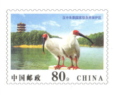 China 2006, Postal Stationary, Pre-Stamped Cover 80-Cent, Crane, MNH** - Gru & Uccelli Trampolieri