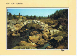 CREUSE - Pont Romain Sur Le Thaurion Situé Sur La Commune De GENTIOUX - " Tépec " Editions - N° NE 15 ( 88) - Altri & Non Classificati