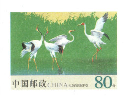 China 2003, Postal Stationary, Pre-Stamped Cover 80-Cent, Crane, MNH** - Grues Et Gruiformes