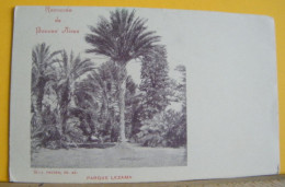 (BUE2) BUENOS AIRES - RECUERDO DE BUONS AIRES  - PARQUE LEZAMA - NON VIAGGIATA 1900ca - Argentina