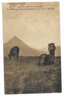 CPA RARE - Les Jolis Sites De L'Auvergne - Un Pâturage Sur Le Col De Cabre Et Au Loin Le Griou - Vaches - - Auvergne