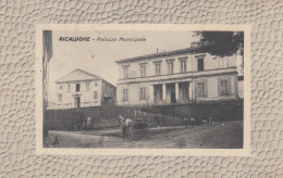 Piemonte  -  Alessandria  -  Ricaldone  -  Palazzo Municipale   - F. Piccolo  - Viagg -  Bella Animata - Altri & Non Classificati