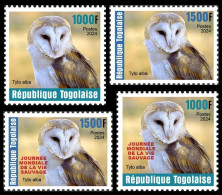 TOGO 2024 SET 4V - REG & OVERPRINT - BARN OWL OWLS HIBOU HIBOUX - BIRDS OISEAUX VOGEL - MNH - Uilen